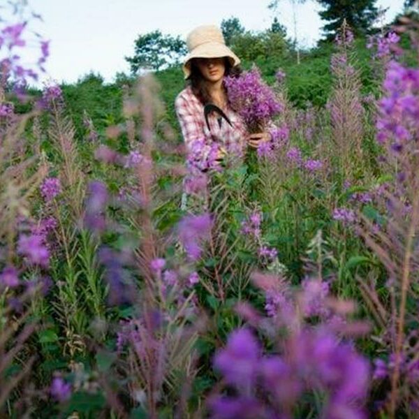 Sortie Cueillette Stéphanie Ratier Naturopathe