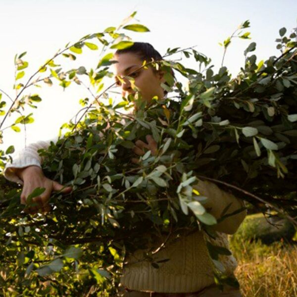 Naturopathie Stéphanie Ratier Naturopathe